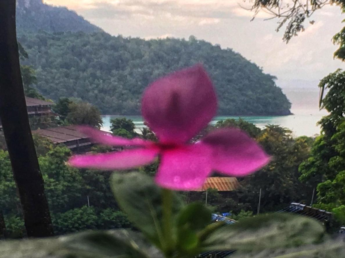 Phi Phi Sea And Hill Resort Buitenkant foto